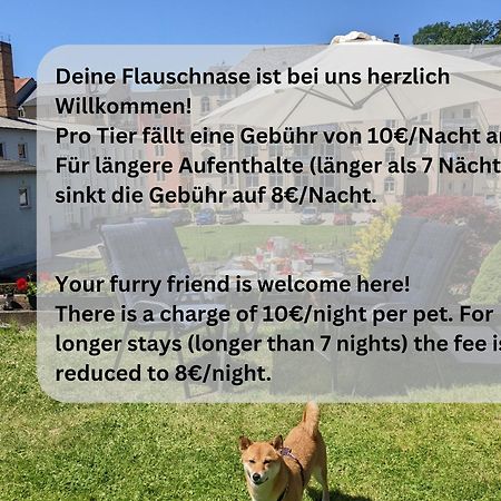 F3 Urlaubsmagie - Pool, Garten & Terrasse - 4P Sebnitz Zewnętrze zdjęcie