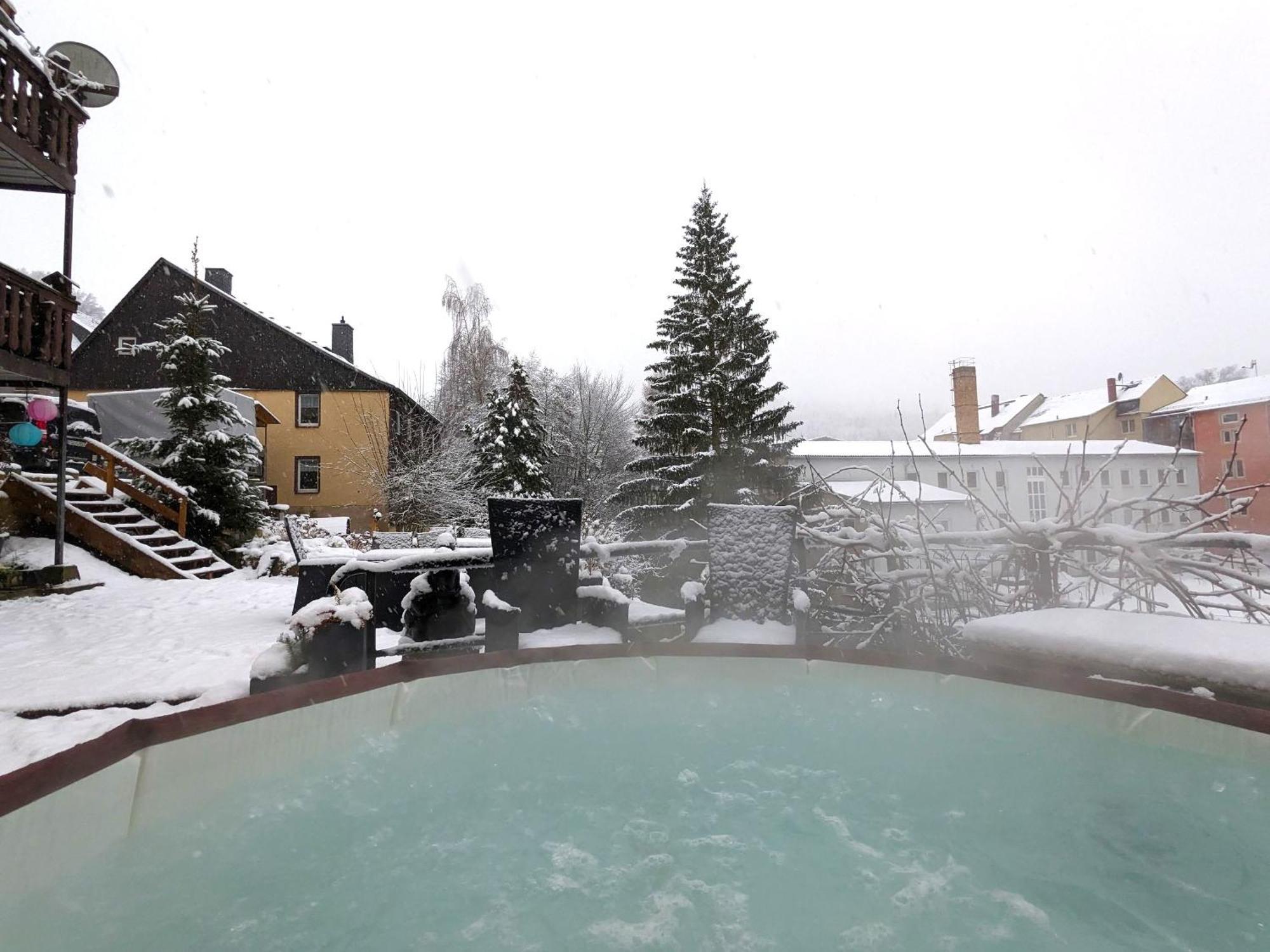 F3 Urlaubsmagie - Pool, Garten & Terrasse - 4P Sebnitz Zewnętrze zdjęcie