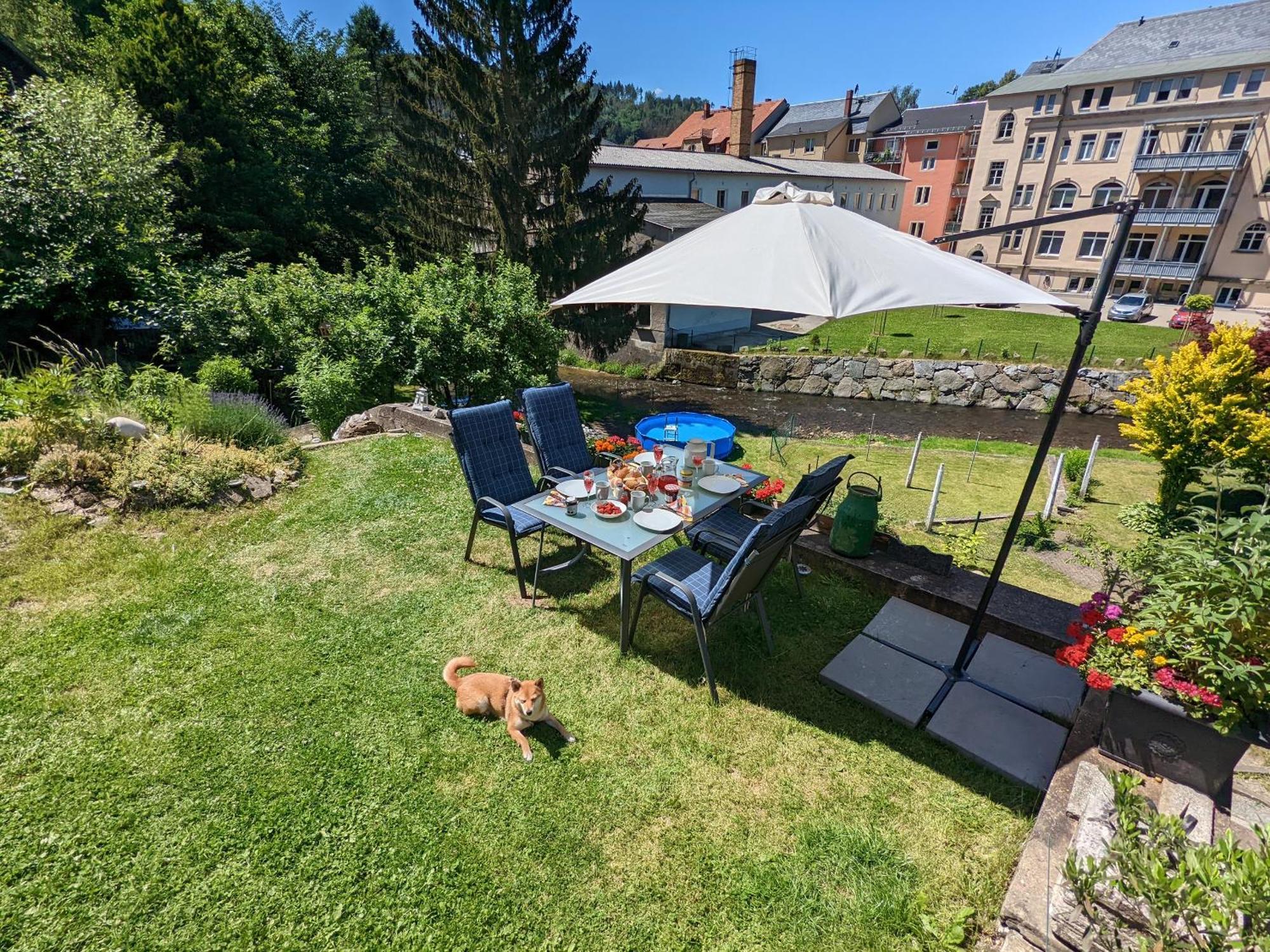 F3 Urlaubsmagie - Pool, Garten & Terrasse - 4P Sebnitz Zewnętrze zdjęcie