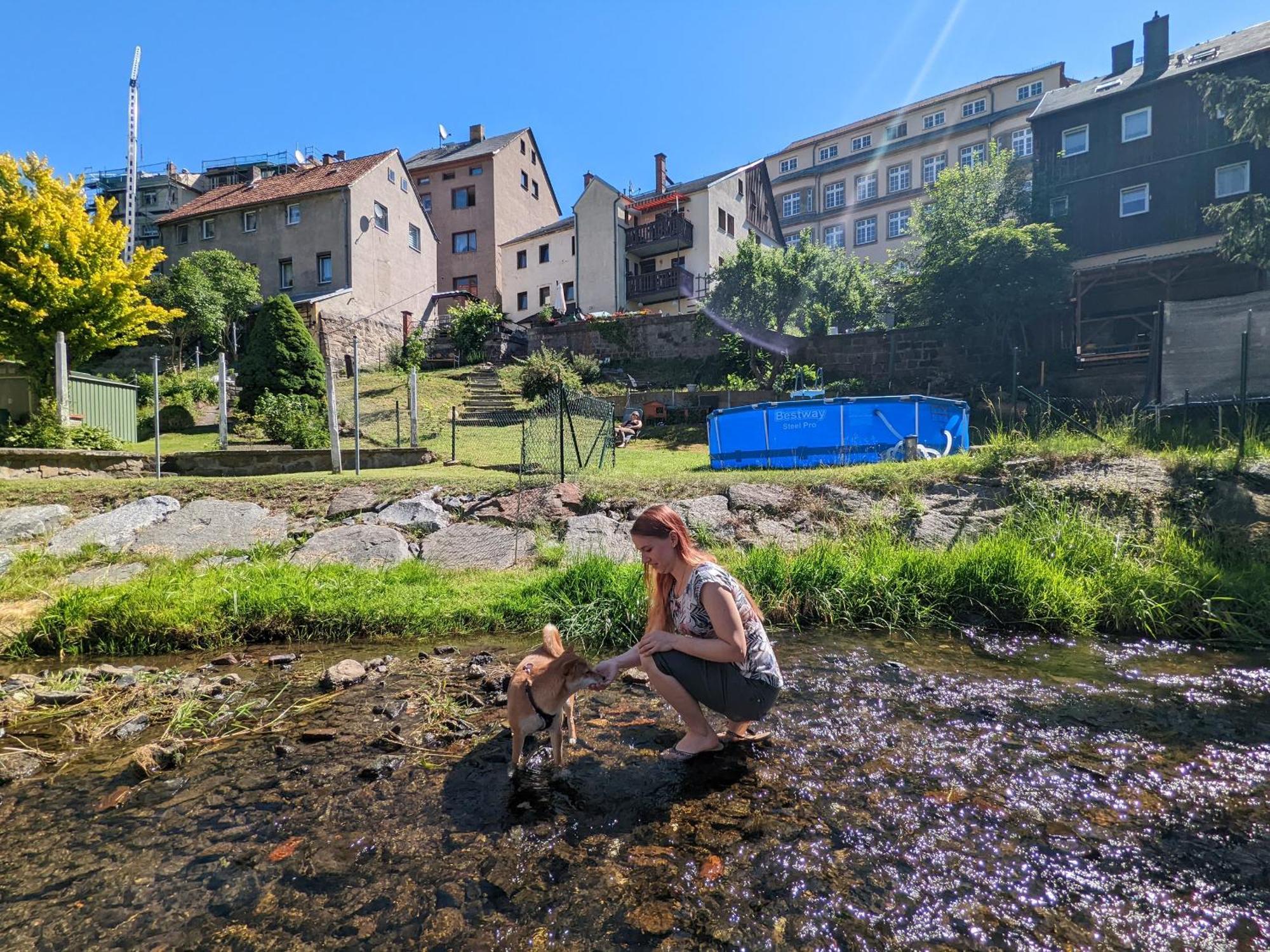 F3 Urlaubsmagie - Pool, Garten & Terrasse - 4P Sebnitz Zewnętrze zdjęcie