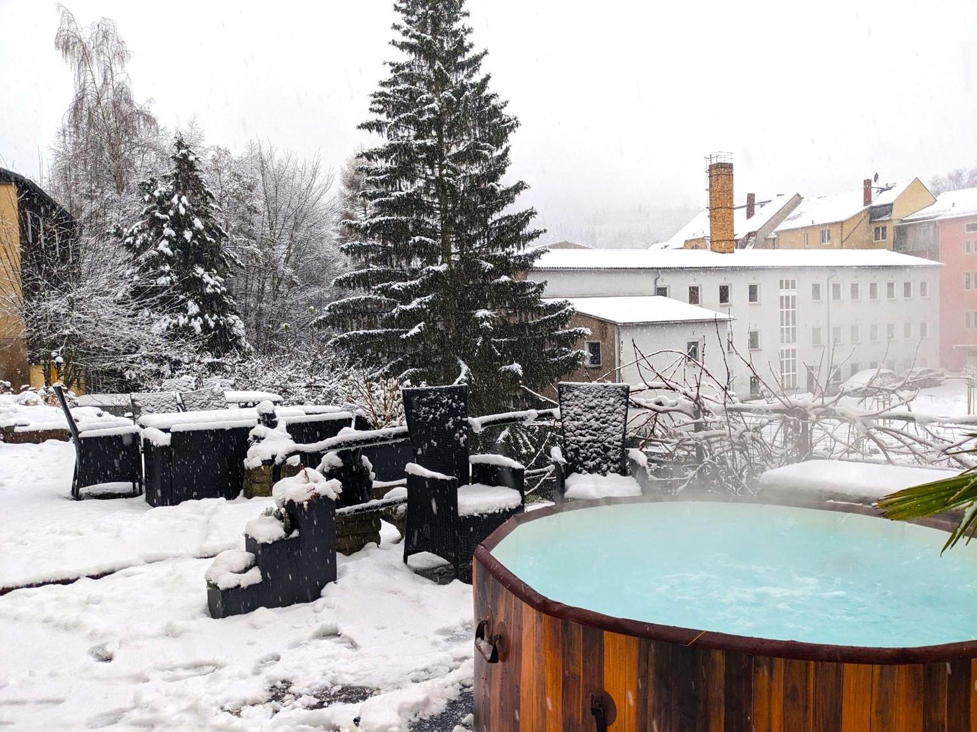 F3 Urlaubsmagie - Pool, Garten & Terrasse - 4P Sebnitz Zewnętrze zdjęcie