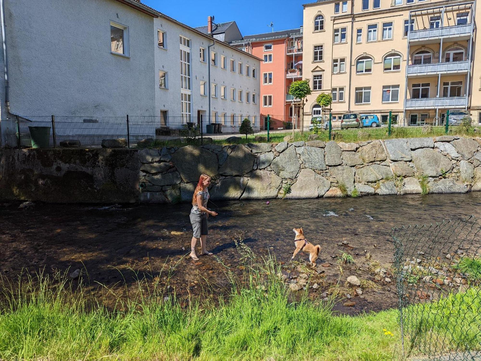 F3 Urlaubsmagie - Pool, Garten & Terrasse - 4P Sebnitz Zewnętrze zdjęcie
